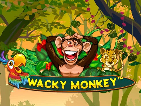 Wacky Monkey game icon