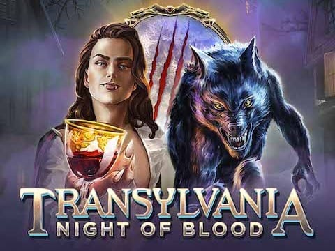 ٹرانسلوانیا نائٹ آف بلڈ game thumbnail
